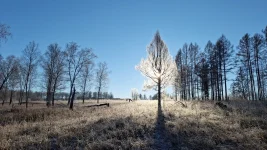 IMG-20241103-WA0003.webp