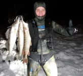IMG-20241123-WA0000.webp