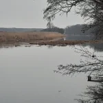 20241229_161224.webp