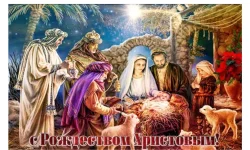 1736234677114.webp