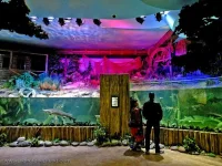 Voronezhskij_okeanarium_4.webp