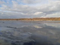 20250201_150402.webp
