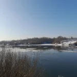 20250209_141544.webp