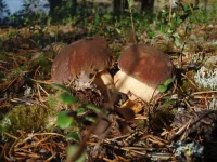 P9105720.webp P9105720.webp