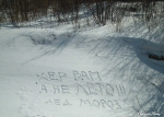 1744550393283.png