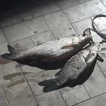 20250426_002448.webp