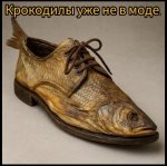 IMG_2476.jpeg