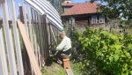 IMG-20250525-WA0001.jpg