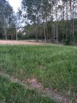 IMG-20250531-WA0033.jpg