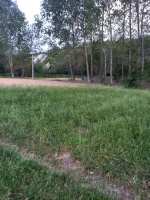 IMG-20250531-WA0033.webp
