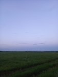 IMG-20250531-WA0041.jpg