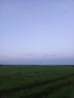 IMG-20250531-WA0041.webp
