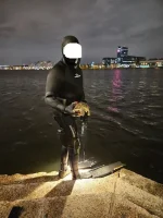 Зимняя черепаха.webp