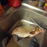 20250606_230244.webp