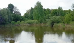 IMG_20250516_170029 — копия.webp