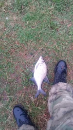IMG-20250617-WA0022.webp