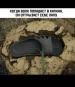 1750357133354.webp