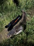 IMG_7141.jpeg