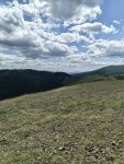 IMG_20250705_135450.jpg