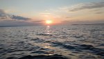 IMG_2694.jpeg