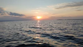 IMG_2694.webp