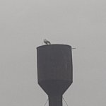 20250720_180722.jpg