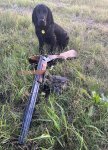 IMG_2739.jpeg