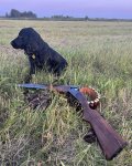 IMG_2734.jpeg