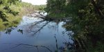 IMG_20250710_100454.jpg