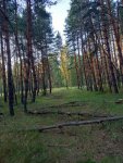 IMG-20250728-WA0020.jpg