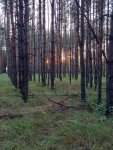 IMG-20250728-WA0019.jpg