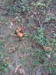 IMG-20250728-WA0018.jpg