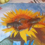 20250731_083531.webp