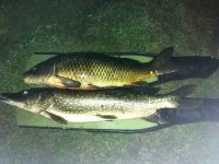 IMG_20250807_015055_edit_308100489318612.webp