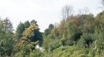 IMG_20250802_104855.jpg