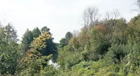 IMG_20250802_104855.jpg