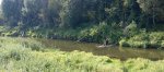IMG_20250802_085634.jpg