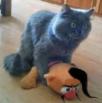 1755189347910.png