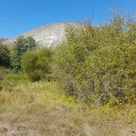 20250830_114633.jpg