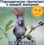 1757258613969.png