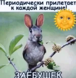 1757258613969.webp