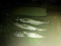IMG_20250909_011047_edit_786183521503473.webp