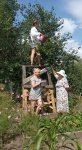 IMG_20250802_120946.jpg