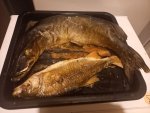 IMG_20250929_091701_270.jpg