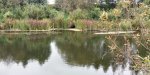 IMG_20250921_102059.jpg