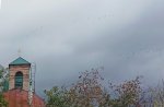 IMG_20250925_105606.jpg