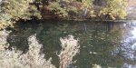 IMG_20250925_085419.jpg