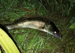 IMG_20250920_235108.jpg