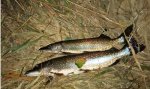 IMG_20250923_194851.jpg