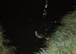 IMG_20251004_221733.jpg
